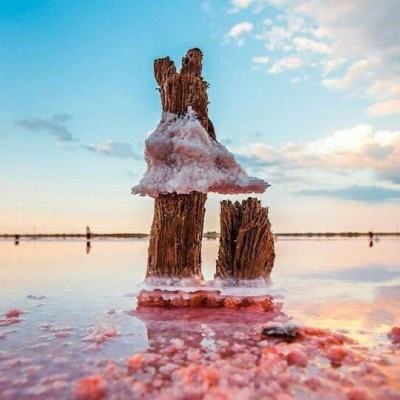 BOB半岛·中国官方网站入口截图